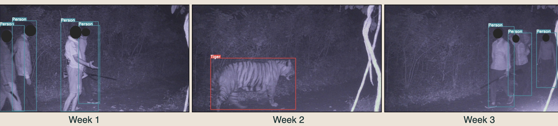 example image