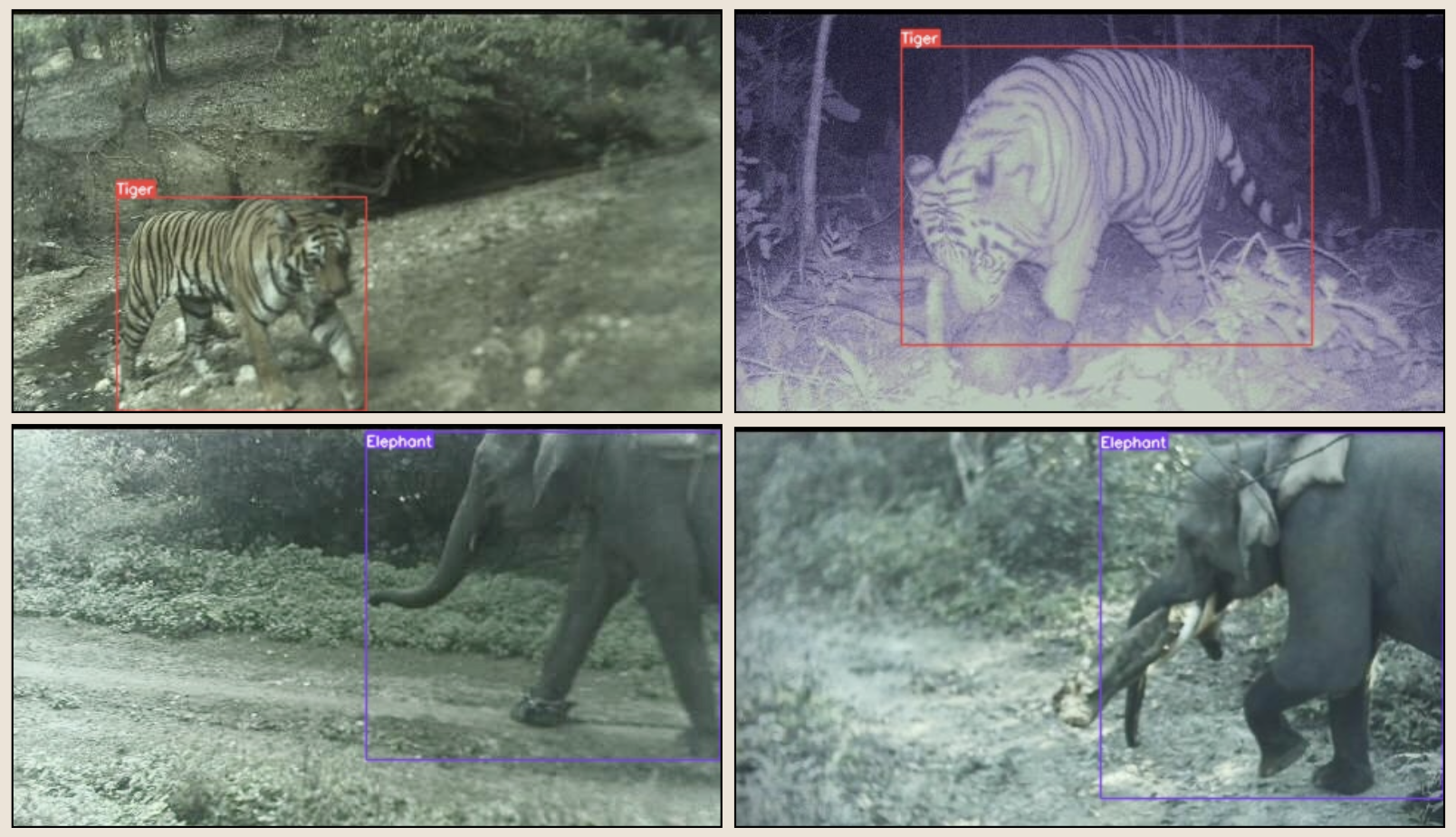 example image