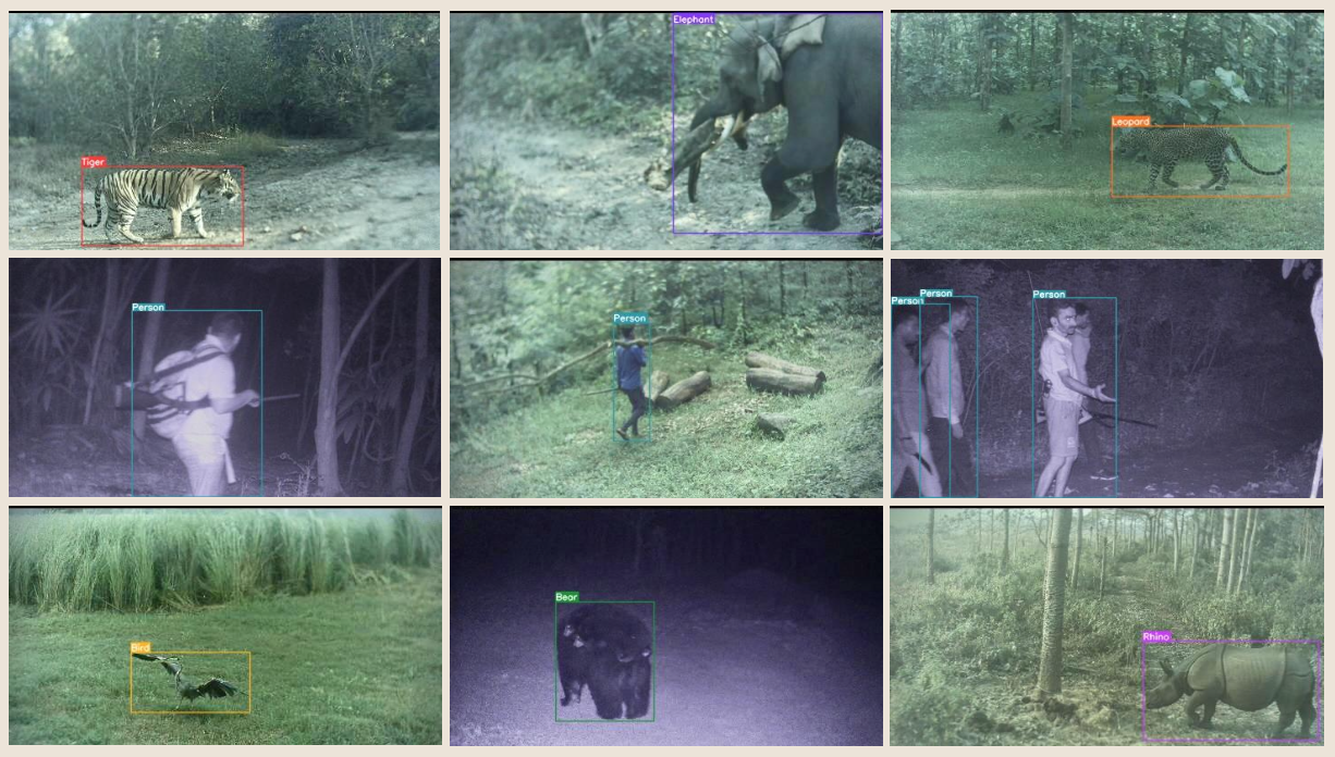 example image